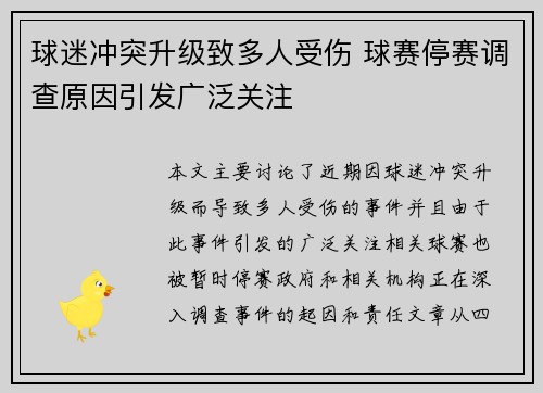 球迷冲突升级致多人受伤 球赛停赛调查原因引发广泛关注 球迷冲突升级致多人受伤 球赛停赛调查原因引发广泛关注
